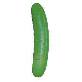 Komkommer Dildo-You2Toys - PleasureToys.nl
