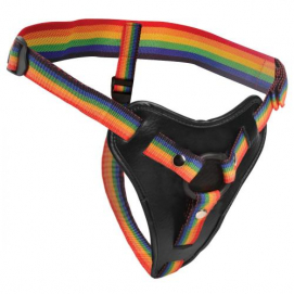 Take the Rainbow Universeel Strap-on Harnas-Strap-U - PleasureToys.nl